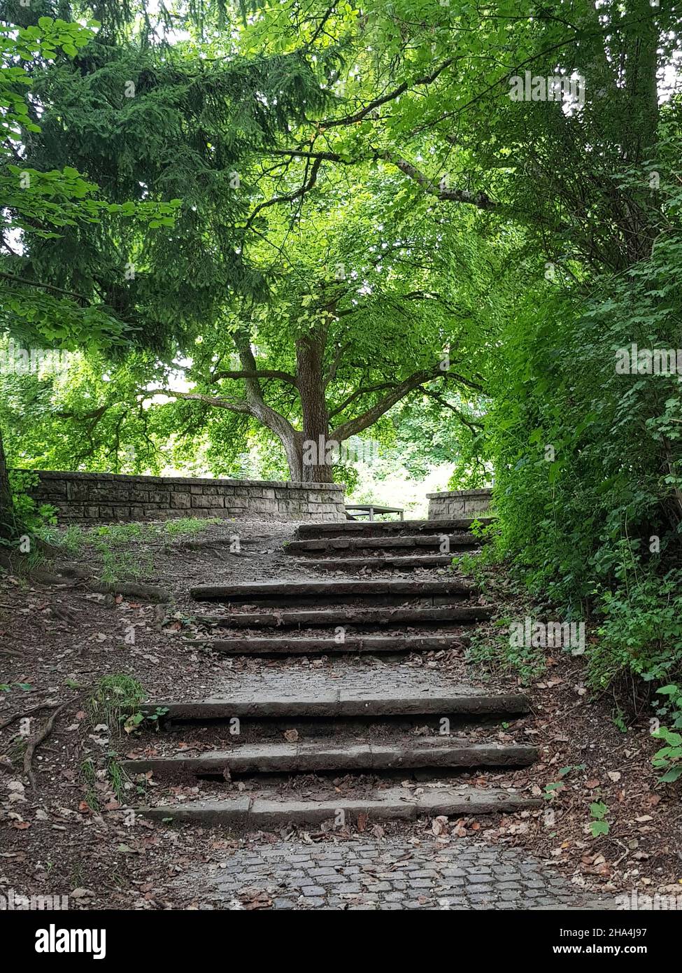 luitpoldpark, schwabing-Viertel, riesige Rasenflächen, üppige Bäume, ein Stück Natur mitten in der Stadt, vom luitpold-Hügel aus ein wunderbarer Blick auf die Stadt. Stockfoto