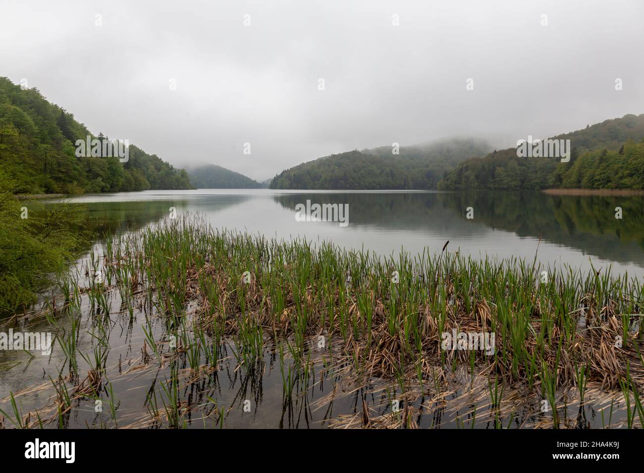 Keine Menschen - nur atemberaubende Natur im nationalpark plitvicer Seen in kroatien Stockfoto