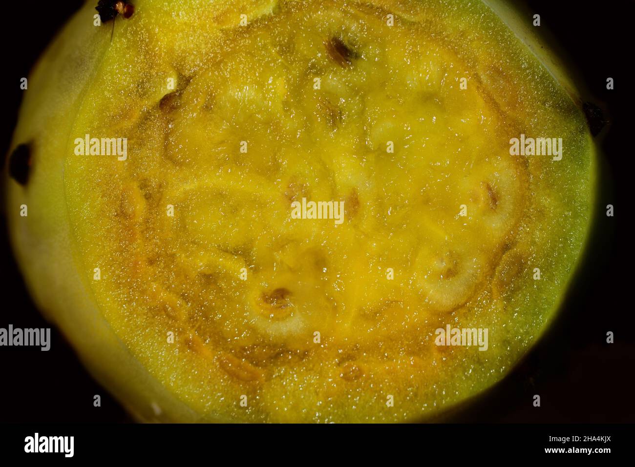 Nahaufnahme einer in Scheiben geschnittenen ​​prickly-Birne, mit frischem Orangenpulpe und den Steinen, vor einem dunklen Hintergrund Stockfoto