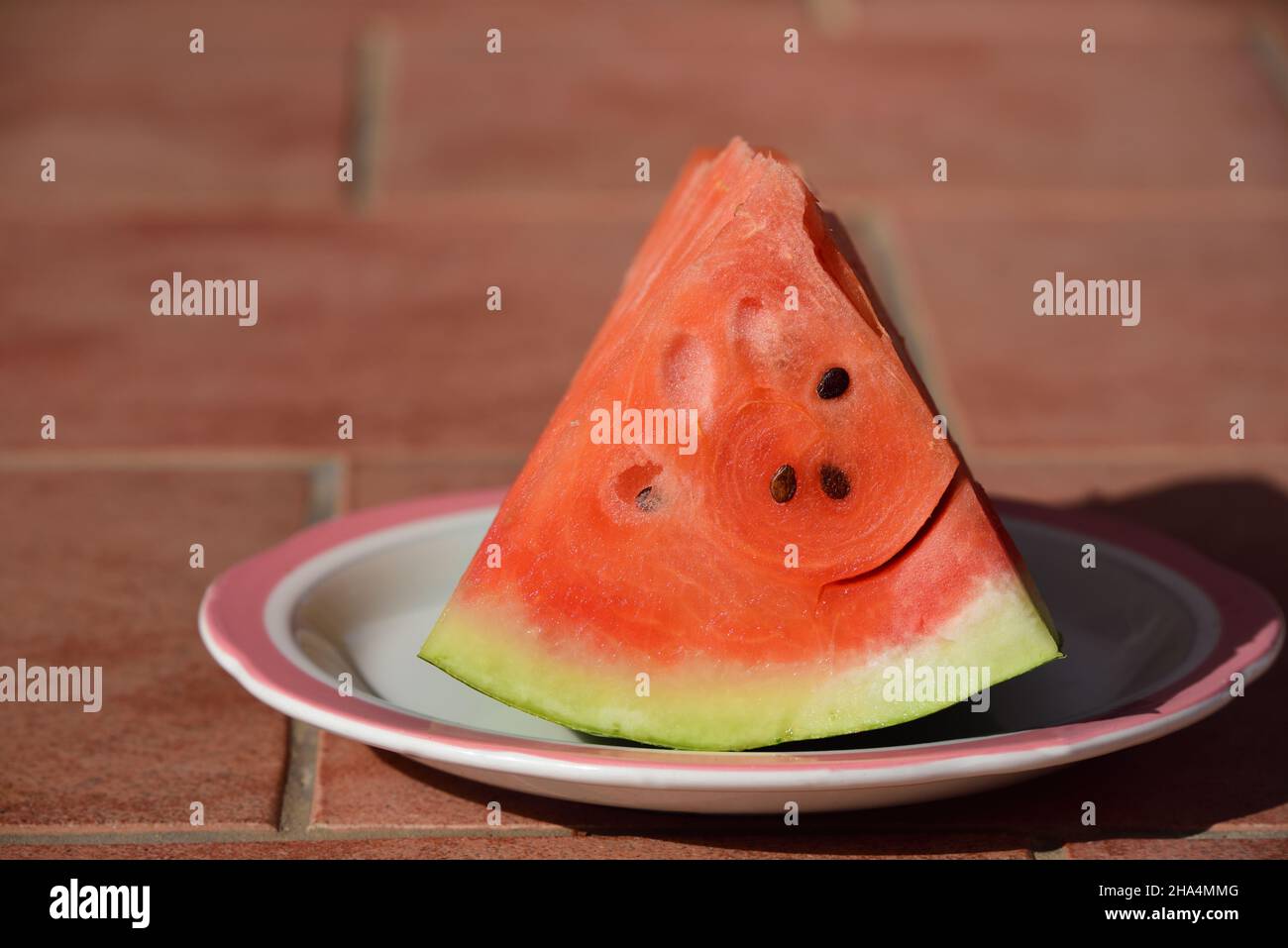 Ein Stück frische rote Wassermelone, mit einer grünen Schale, auf einem Teller zum Essen angeordnet Stockfoto