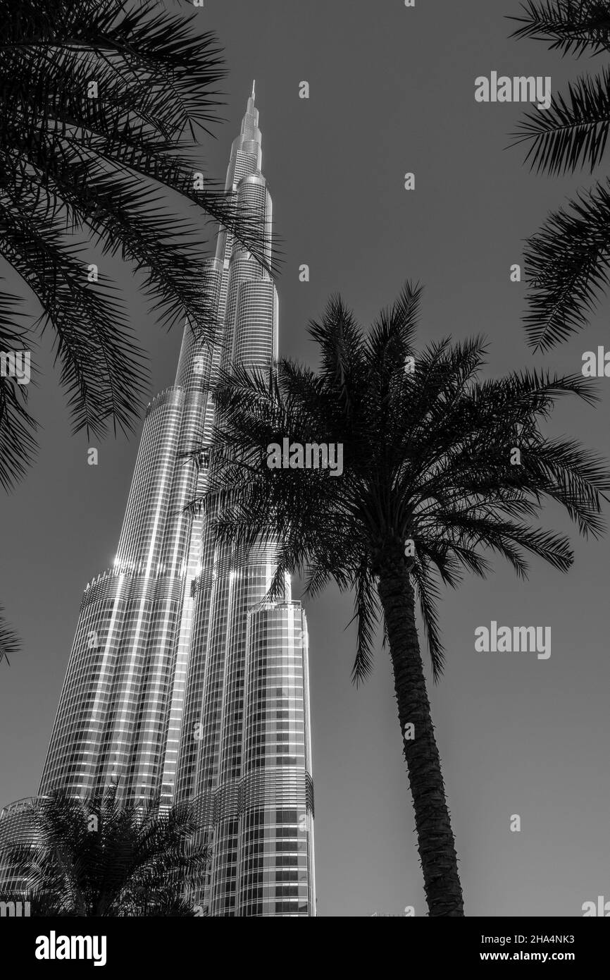 Das höchste Gebäude der Welt, der Burj Khalifa in Dubai Stockfoto