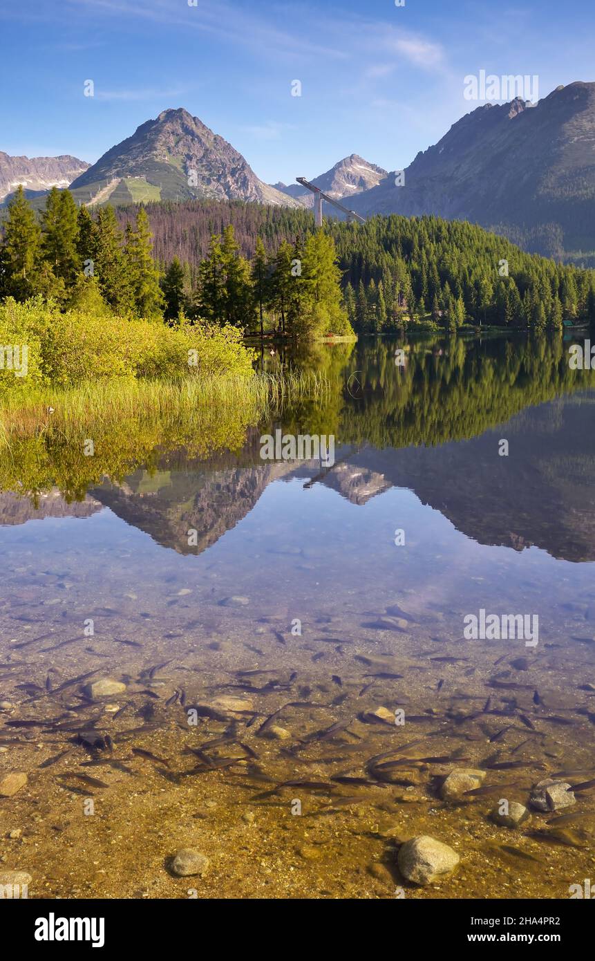 Berglandschaft mit einem See und einem Fisch im Wasser. Slowakei, Strbske Pleso See Stockfoto