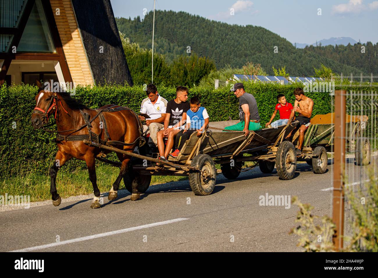 Pferdekutsche in einem Dorf in rumänien Stockfoto