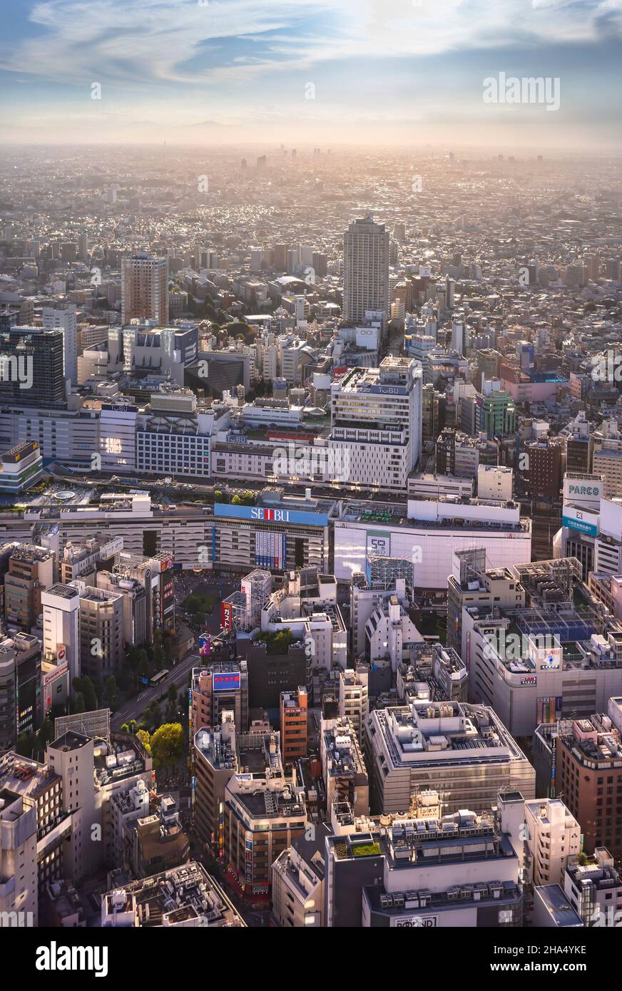 tokio, japan - 15 2021. märz: Blick aus der Vogelperspektive auf die Wolkenkratzer rund um den toshima-Bezirk und die Ikebukuro-Station bei Sonnenuntergang, dem zweitgrößten der Stadt Stockfoto