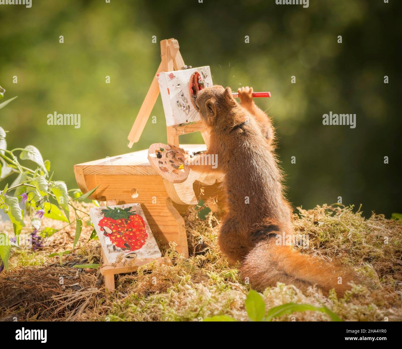 Nahaufnahme eines roten Eichhörnchens, das mit einem Tisch steht, der einen Pinsel hält und malt Stockfoto