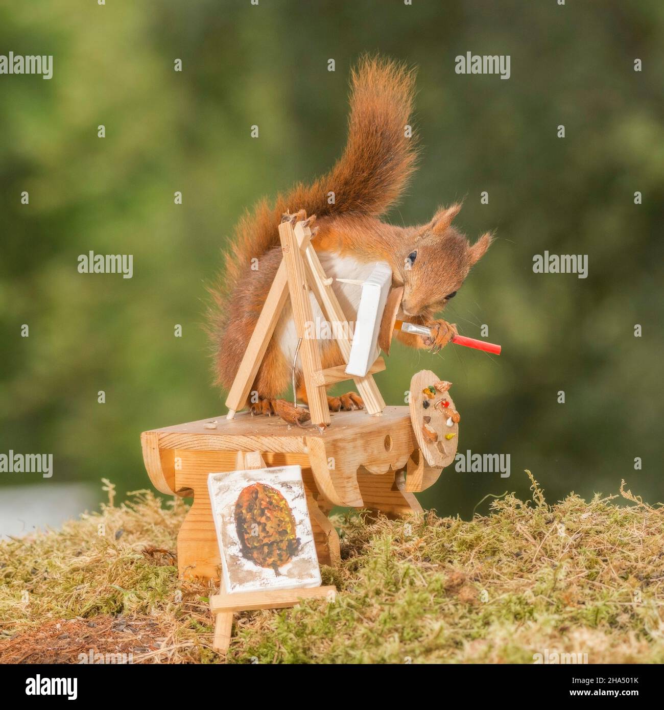 Nahaufnahme des roten Eichhörnchens, das mit einem Pinsel auf dem Tisch steht und das Gemälde den Betrachter ansieht Stockfoto
