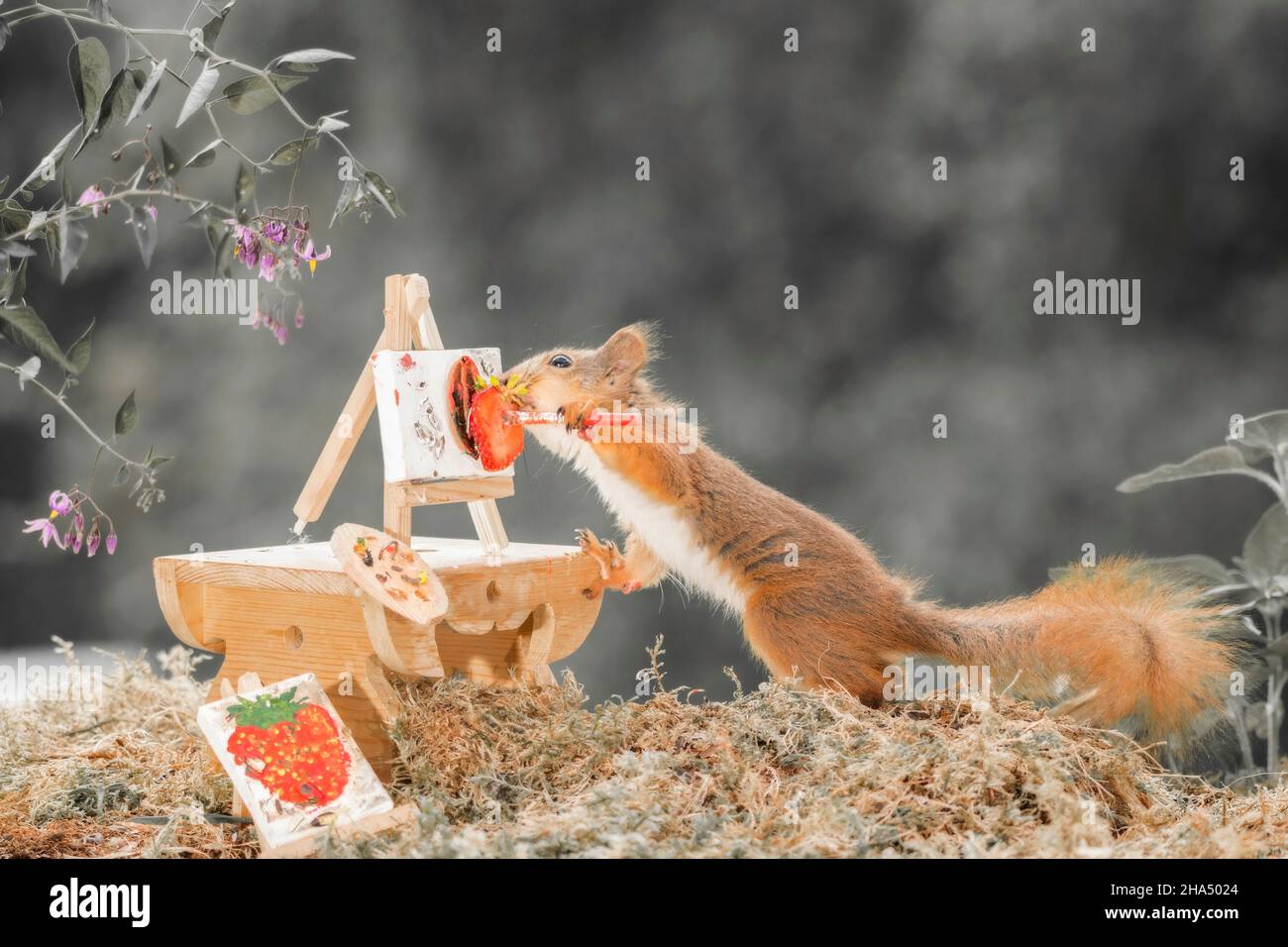 Nahaufnahme eines roten Eichhörnchens, das mit einem Tisch steht, der einen Pinsel hält und malt Stockfoto