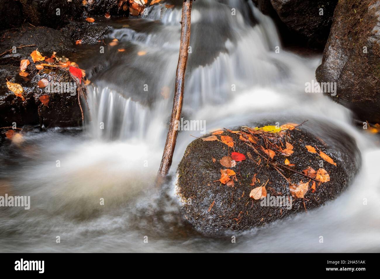 Die Blätter, die auf dem Felsen liegen, umgeben vom fliessenden Wasser aus den Wasserfällen und dem Stock Stockfoto