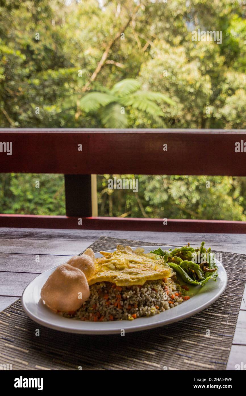 Mahlzeit in Malaysia - gebratener Reis mit Ei, unreifer Papaya-Salat. Stockfoto