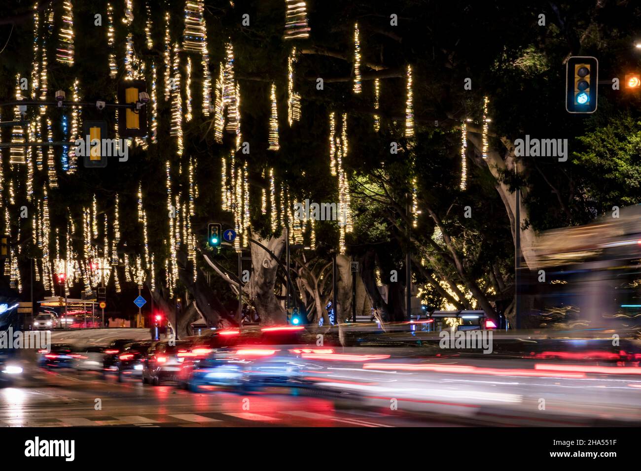Weihnachtsbeleuchtung im Alameda Principal. Málaga, Andalucía, Spanien, Europa Stockfoto