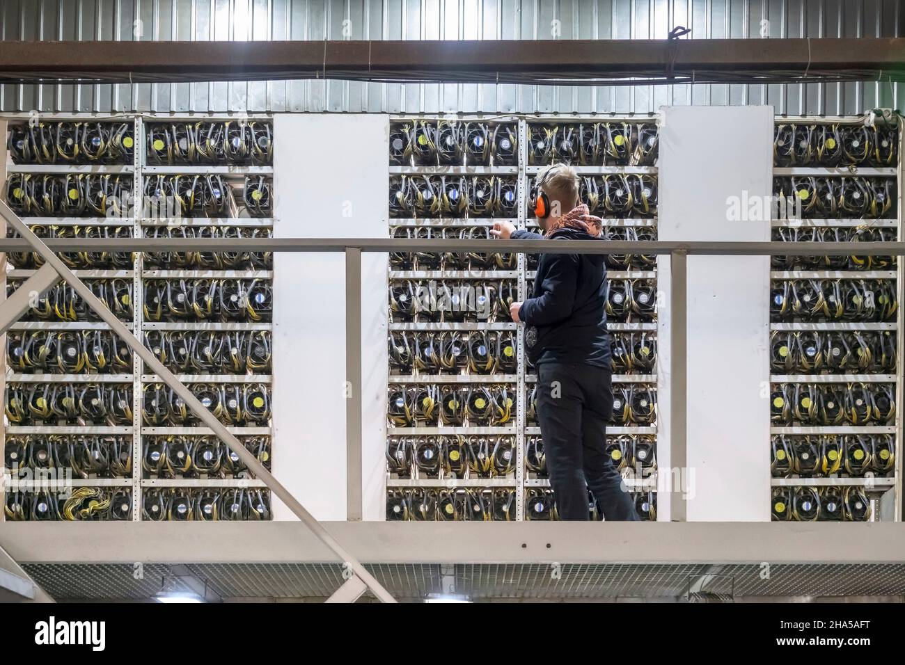 russland, sibirien, Krypto-Bergbaufarm, Wand mit eingebauten Miner-Computern und Controller Stockfoto