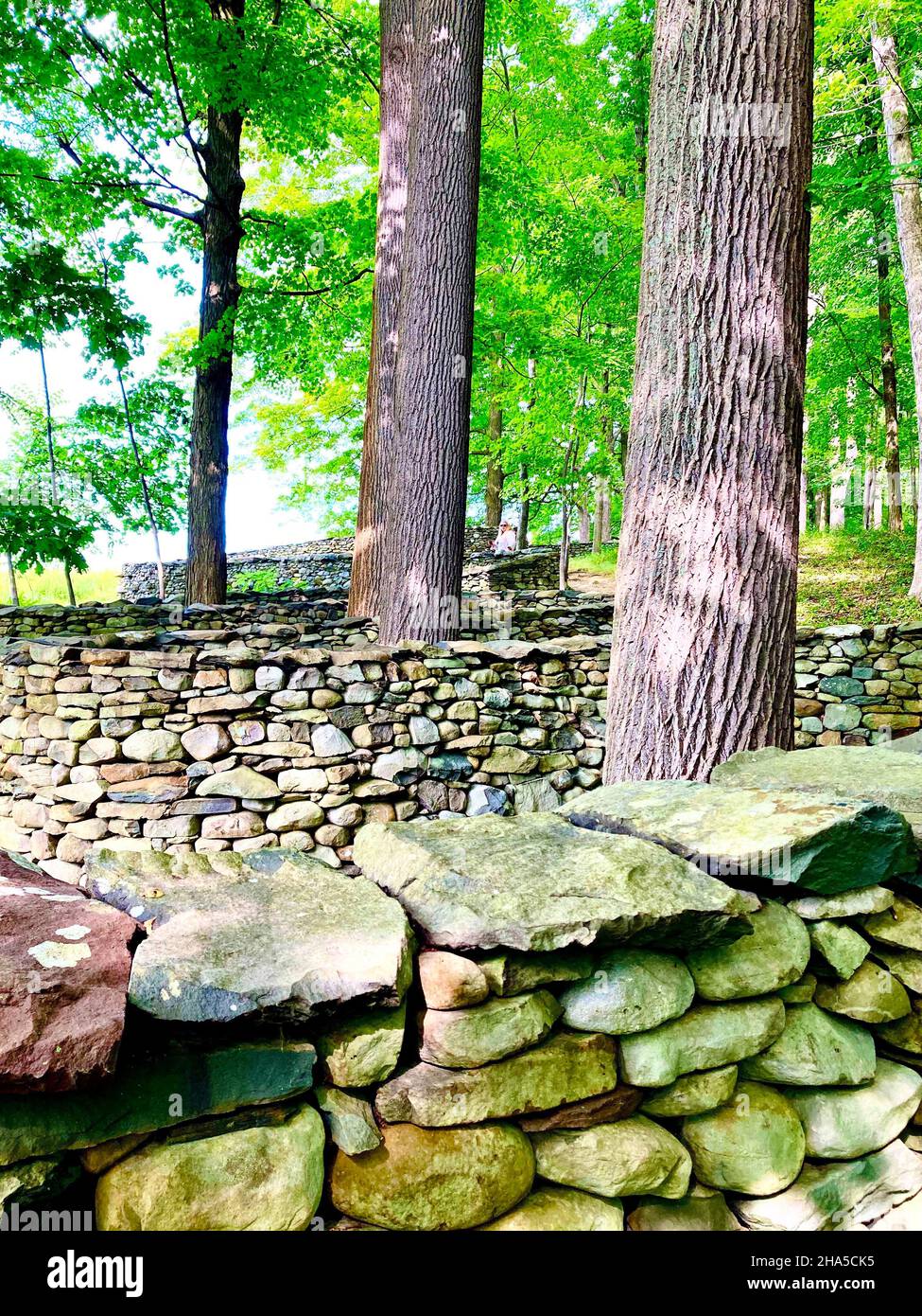 Storm King Art Center, New windsor, ny. Storm King Wall von andy goldsworthy ist 2.278 Meter lange Trockensteinmauer, die verschiedene Formen nimmt und hier windet es sich durch eine Reihe von Bäumen. Erbaut von britischen Steinmetzen. Stockfoto