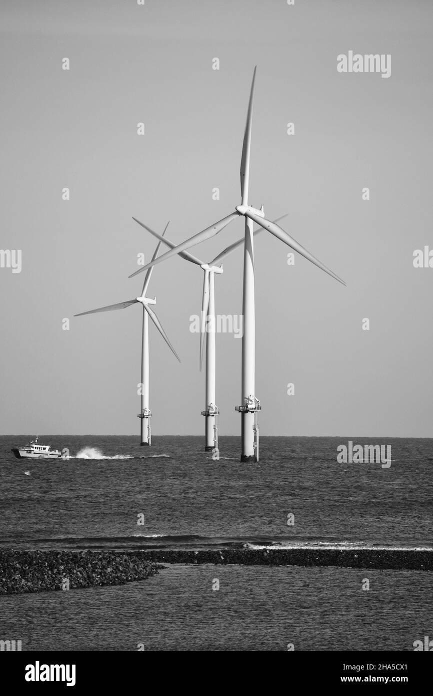 Schwarz-Weiß-Bild mit natürlichem Licht des Offshore-Windparks Teesside, der von EDF Renewables betrieben wird. Aufgenommen vom Südbahnhof, Redcar, North Yorkshire, Großbritannien Stockfoto