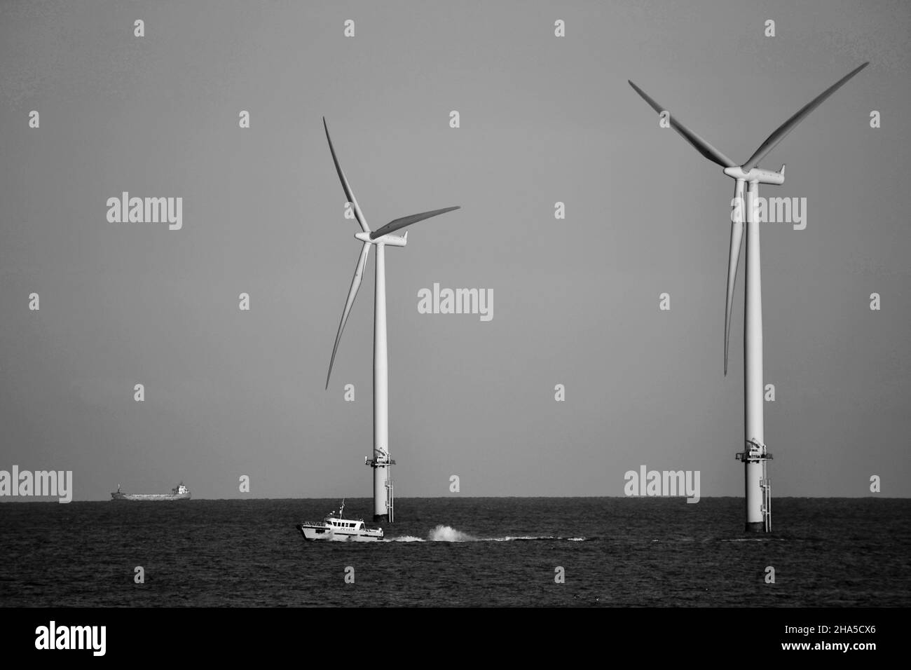 Schwarz-Weiß-Bild mit natürlichem Licht des Offshore-Windparks Teesside, der von EDF Renewables betrieben wird. Aufgenommen vom Südbahnhof, Redcar, North Yorkshire, Großbritannien Stockfoto