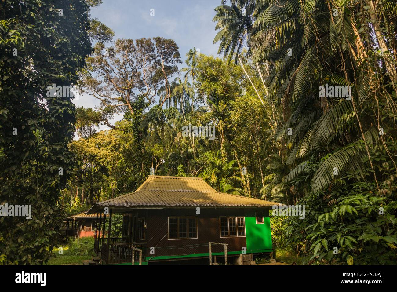 Ferienhaus im Bako Nationalpark auf der Insel Borneo, Malaysia Stockfoto