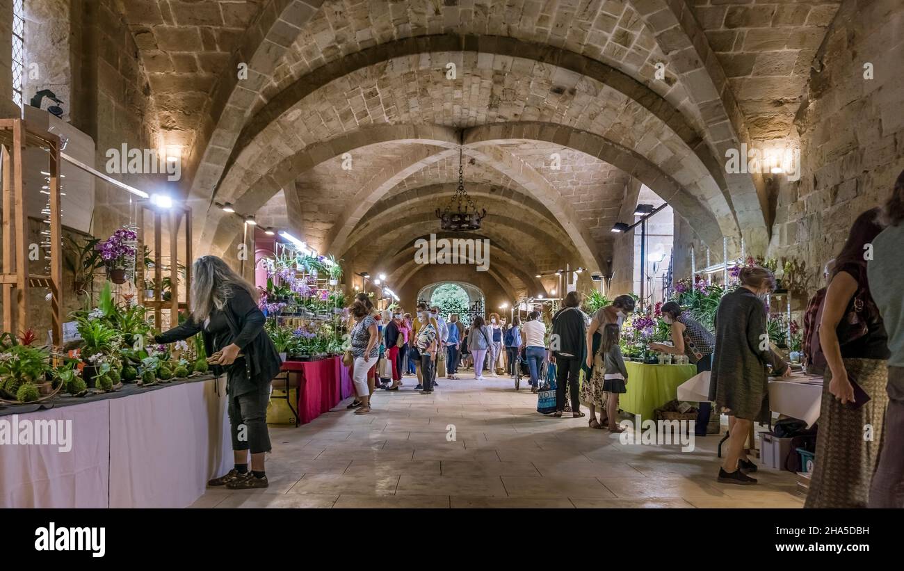 Internationale Orchideenausstellung in der Abtei sainte marie de fontfroide bei narbonne. Ehemalige zisterzienserabtei, gegründet 1093. Stockfoto