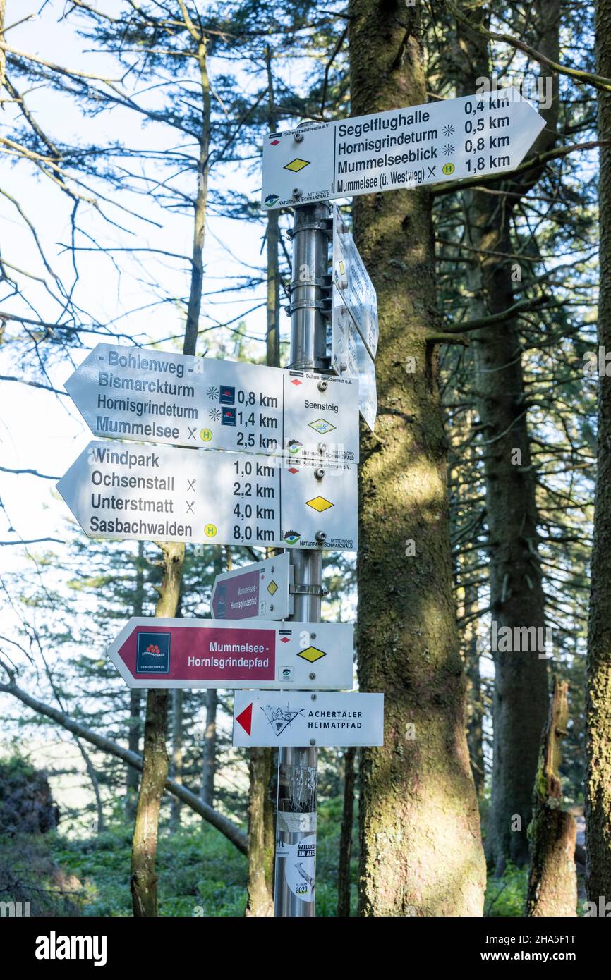 deutschland, Schwarzwald, Wegweiser für Wanderer an der hornisgrinde. Stockfoto