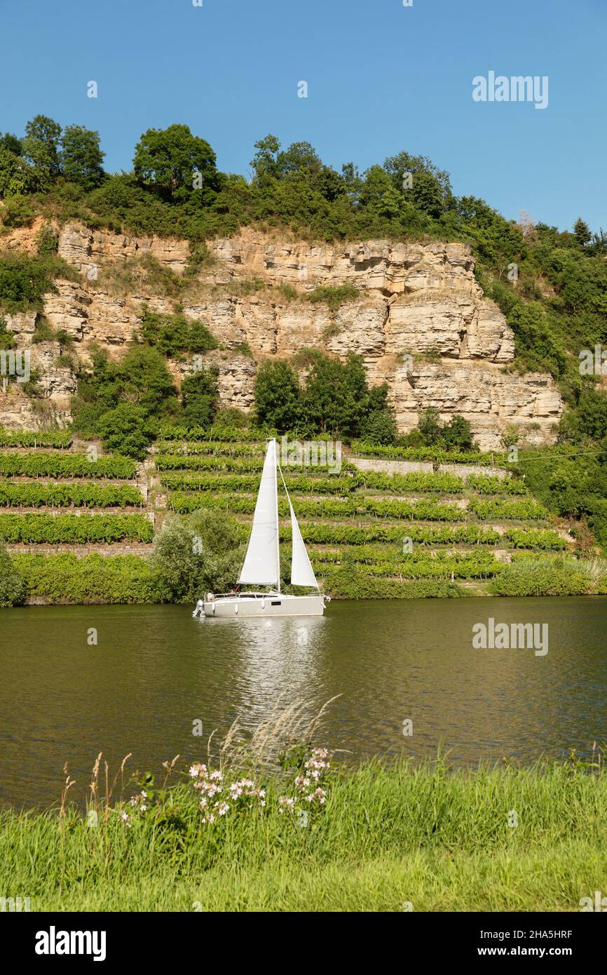 Blick über den neckar auf die Krabbenfelsen,lauffen am neckar,baden-württemberg,deutschland Stockfoto