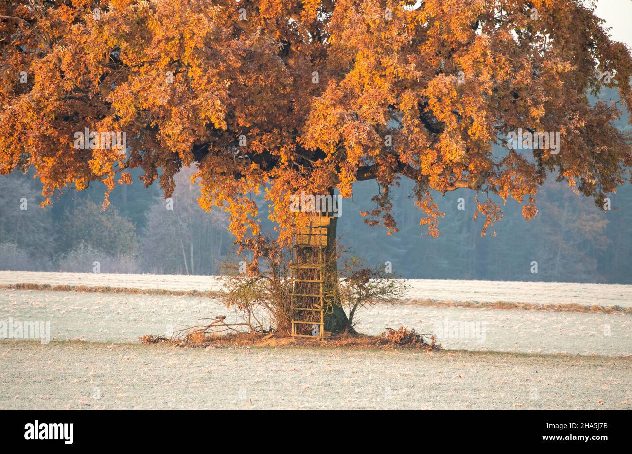 Herbststimmung im Bezirk Stockfoto