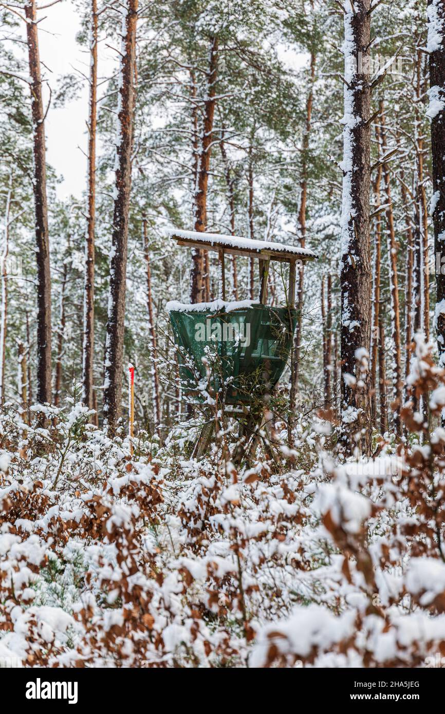 Bäume bedeckt mit Schnee und Reif in einer Winterlandschaft, Jagdsitz im Wald Stockfoto