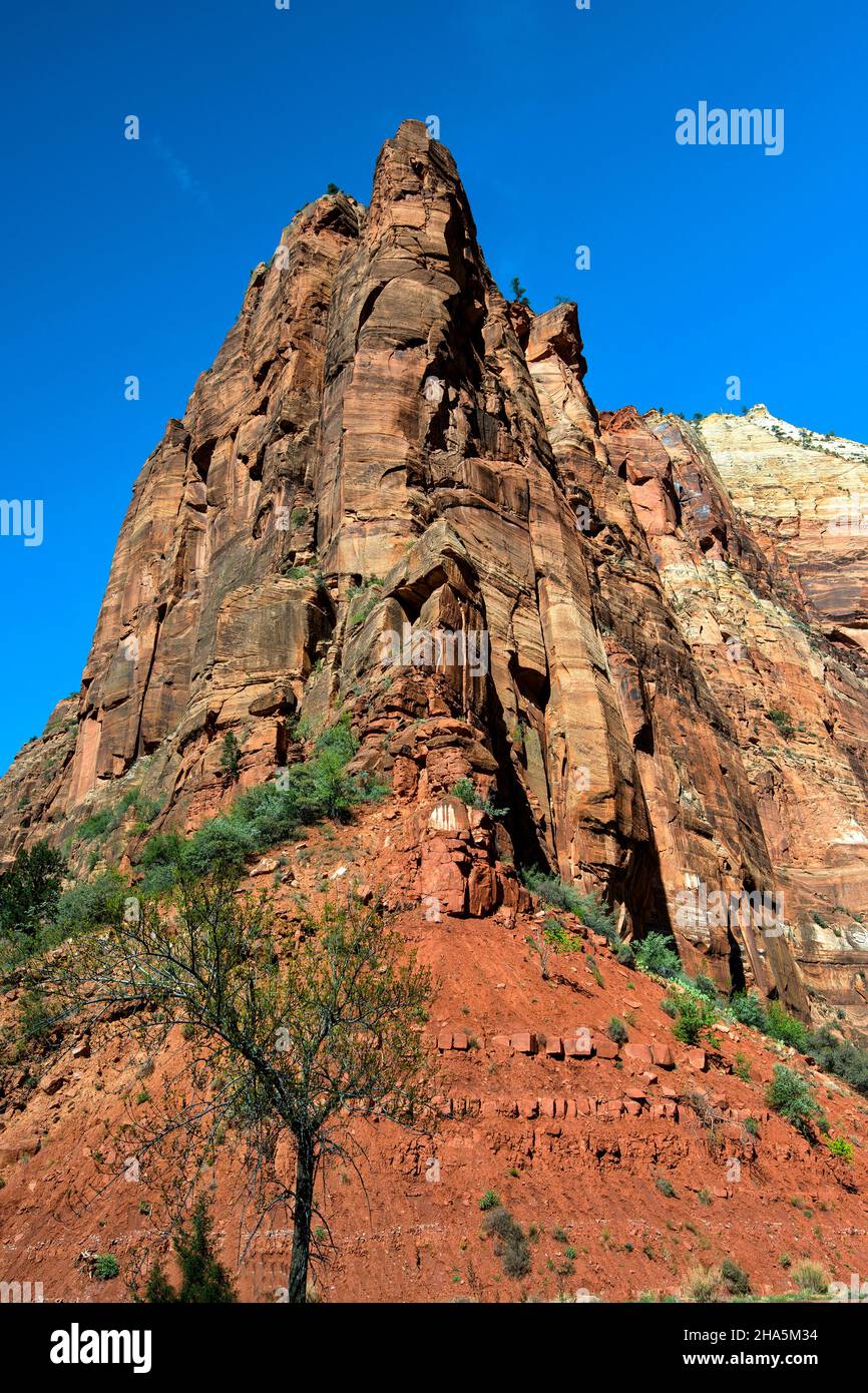Big Bend ist eine atemberaubende Wendung des Virgin River im Zion National Park, Utah Stockfoto