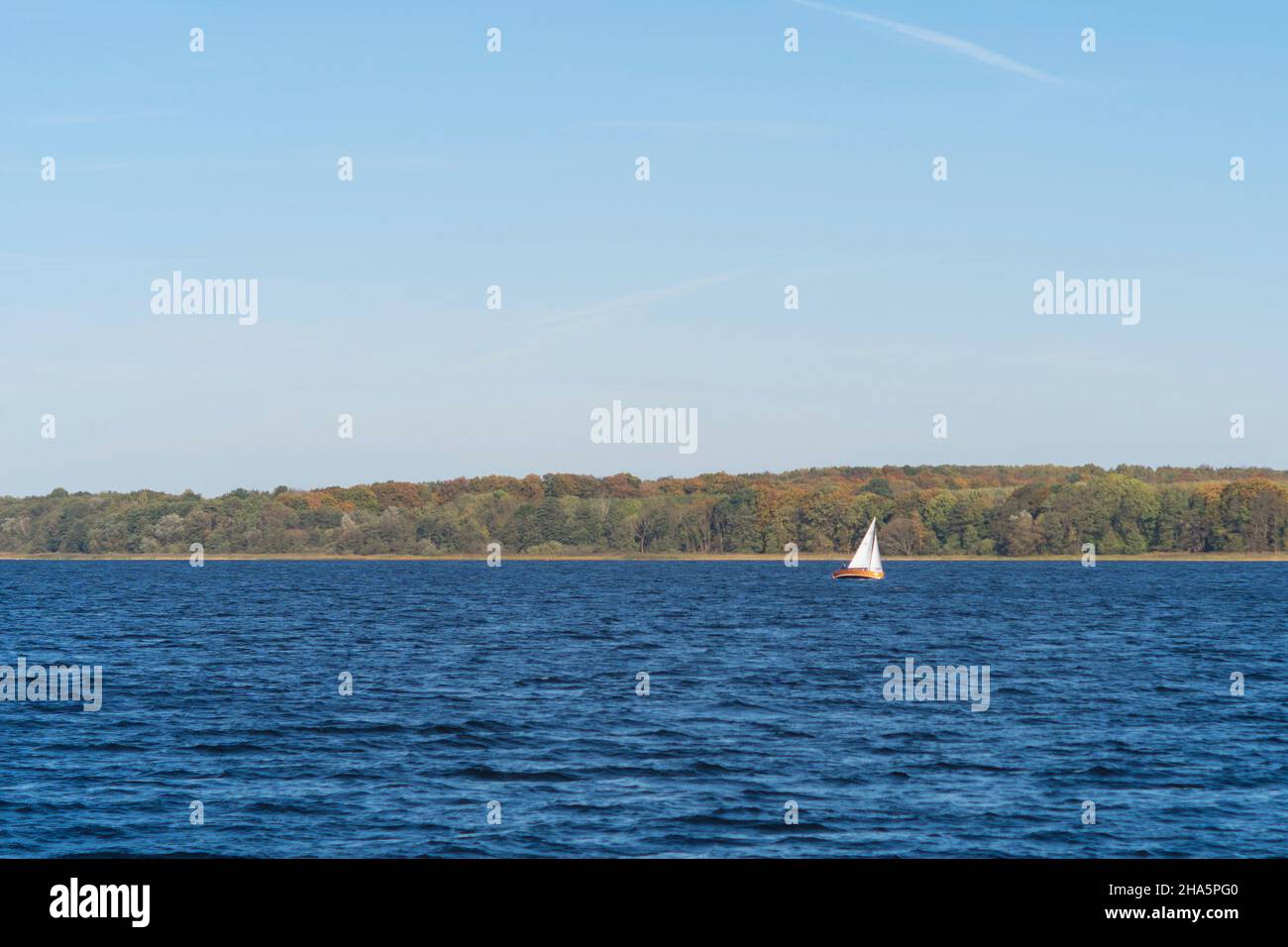 sonntäglicher Herbstausflug bei sonnigem Wetter auf den ratzeburger See in Ratzburg, deutschland Stockfoto