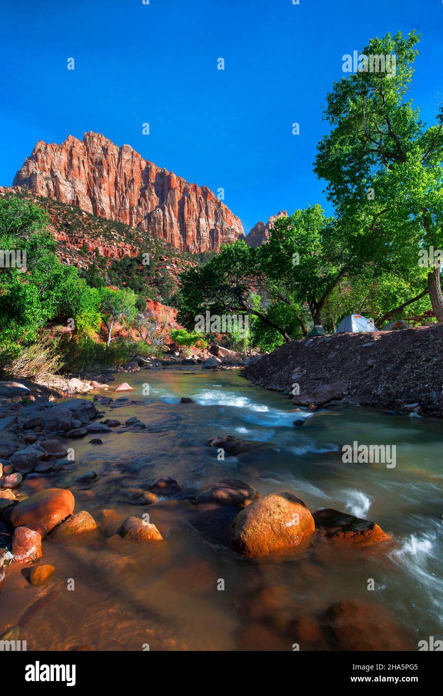 Virgin River und The Watchman Sunset im Zion National Park, Utah Stockfoto