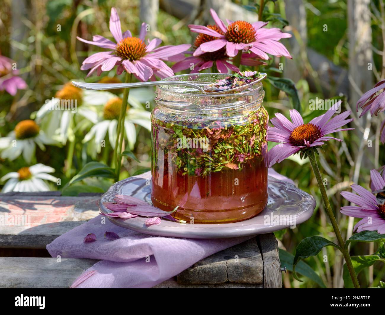 Honigglas gefüllt mit Honig und zerdrücktem Sonnenhut oder Echinacea mit einer irdenen Untertasse auf einer Holzkiste im sonnigen Garten Stockfoto