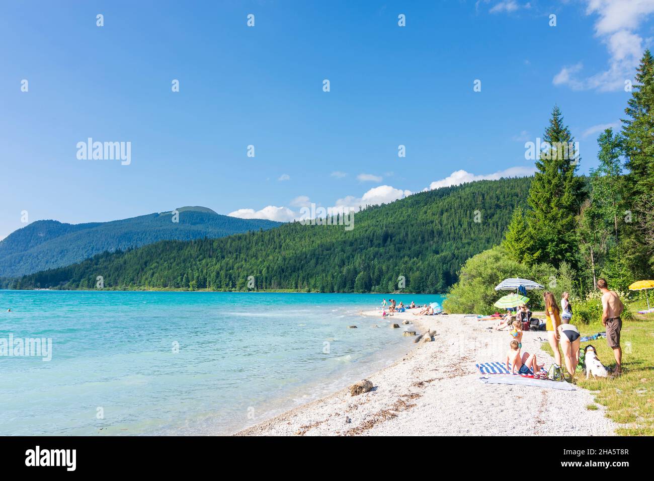 Walchensee schwimmen -Fotos und -Bildmaterial in hoher Auflösung – Alamy