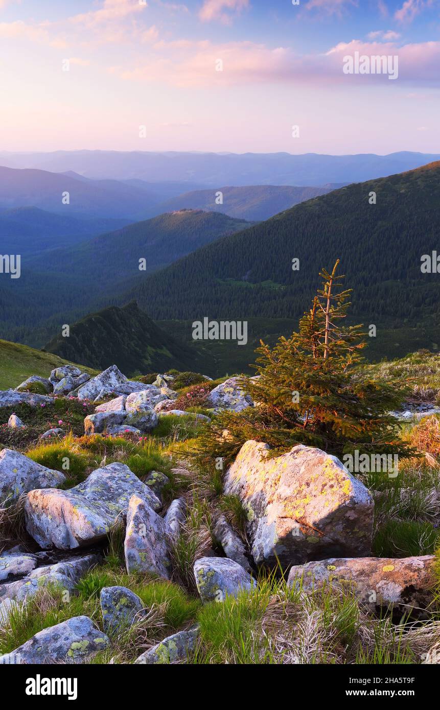 Sommerabend in den Bergen. Die letzten Strahlen der untergehenden Sonne Stockfoto