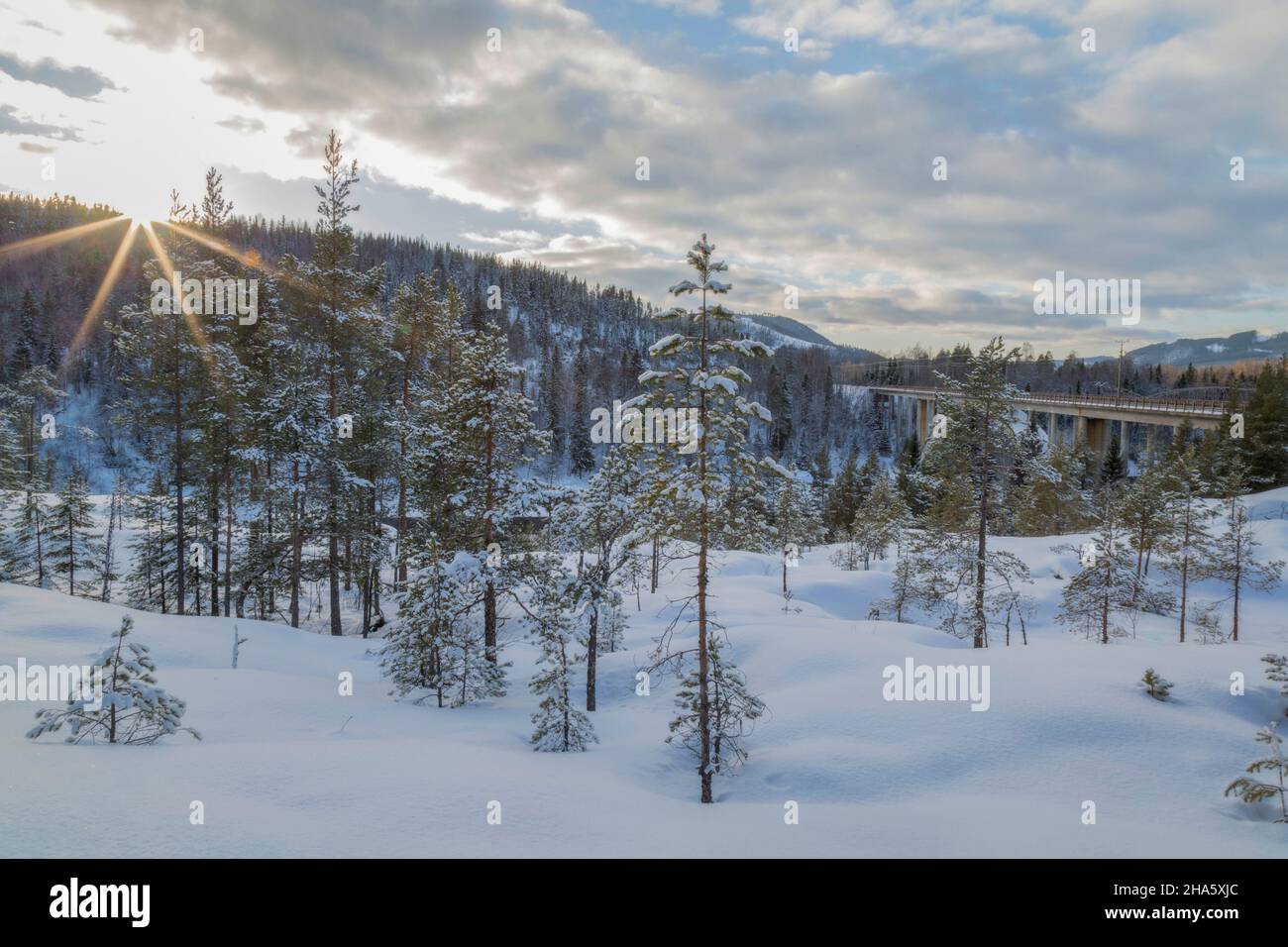 Schneelandschaft mit blauem Himmel, Sonnenstrahlen und Bäumen Stockfoto