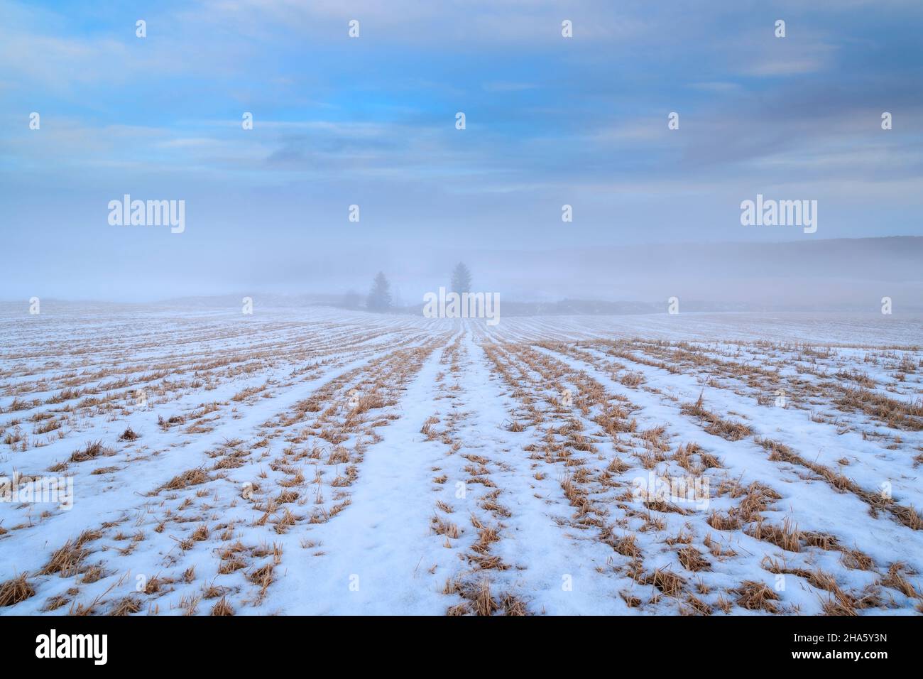 Schnee, Felder und Hügel bei Sonnenaufgang mit Nebel Stockfoto