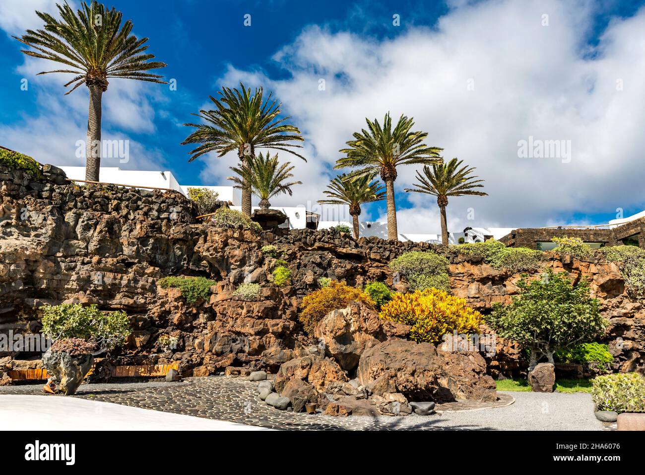 Tropischer Garten am Pool,jameos del agua,Kunst- und Kulturstätte,erbaut von césar manrique,spanischer Künstler aus lanzarote,1919-1992,lanzarote,Kanaren,kanarische Inseln,spanien,europa Stockfoto