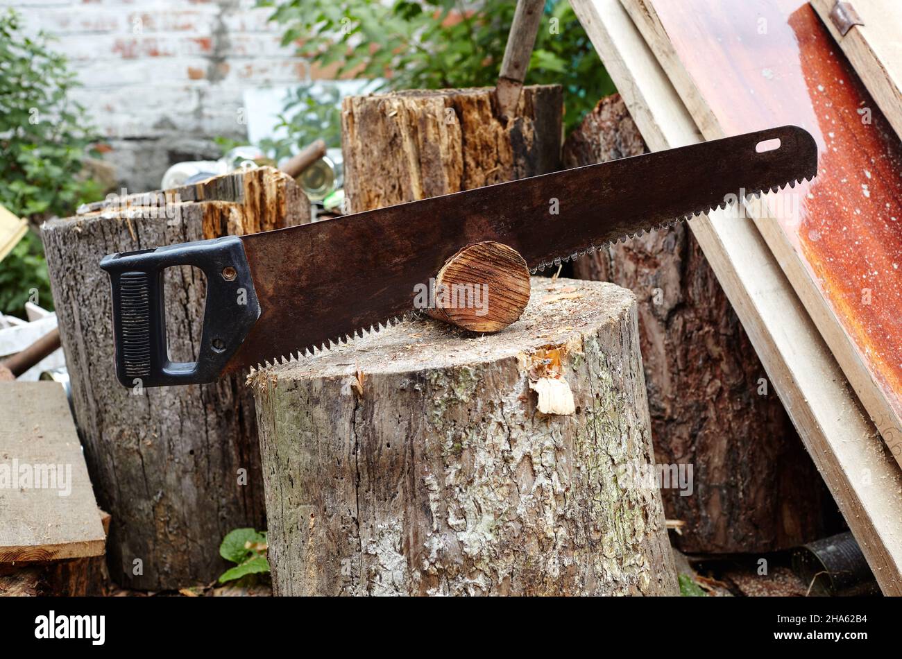 Säge zum Schneiden von Holz. Vorbereitung des Brennholzes für den Winter Stockfoto