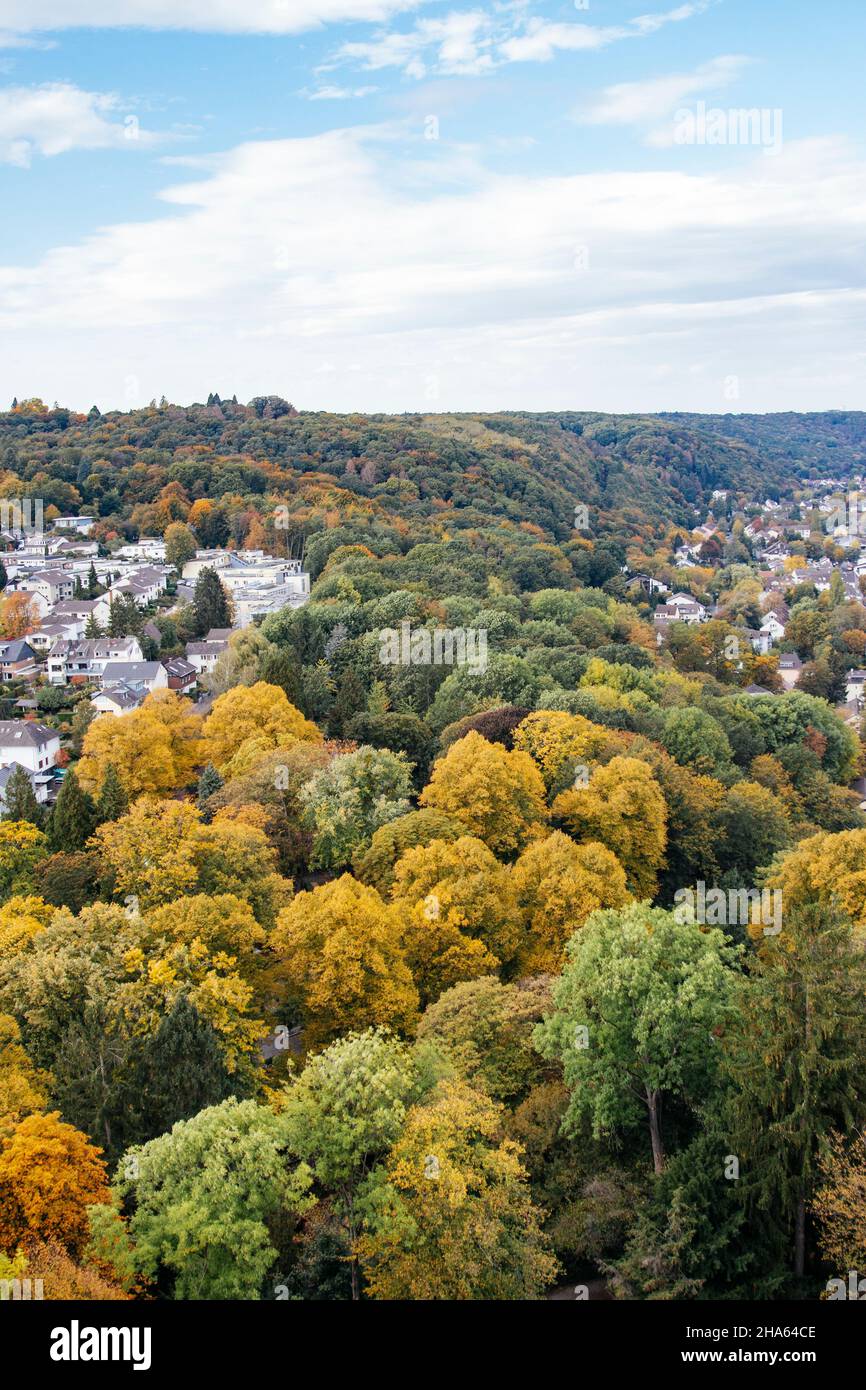 Wald in Bad godesberg Stockfoto