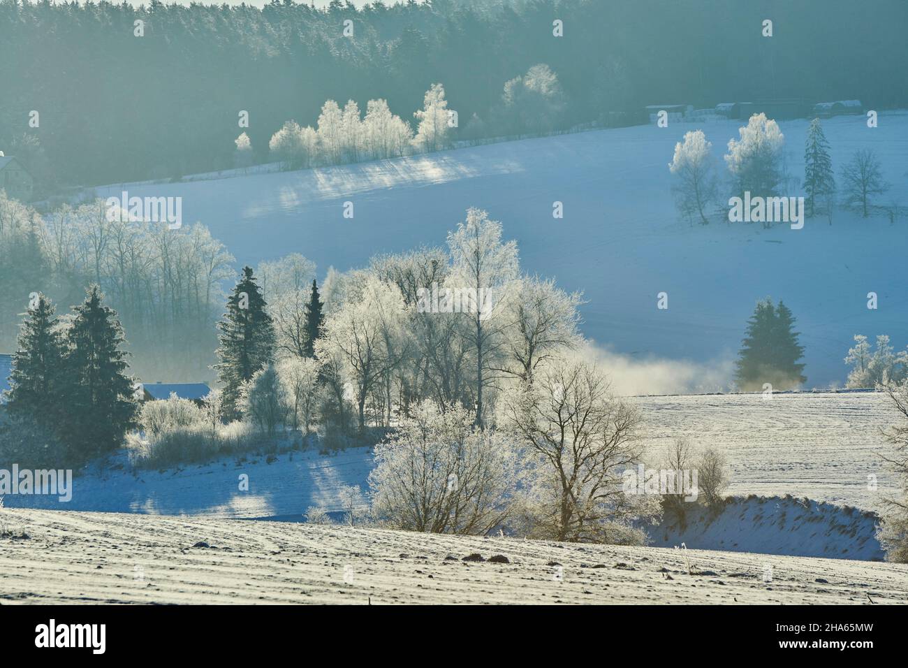 Gefrorene Landschaft, Naturpark Bayerischer wald, bayern, deutschland Stockfoto