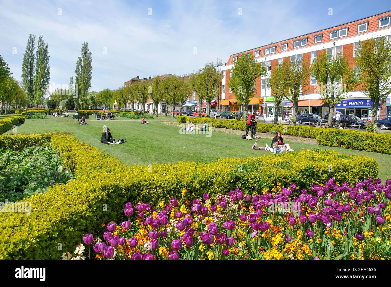 Der Parkway im Sommer, Welwyn Garden City Centre, Hertfordshire, England, Vereinigtes Königreich Stockfoto