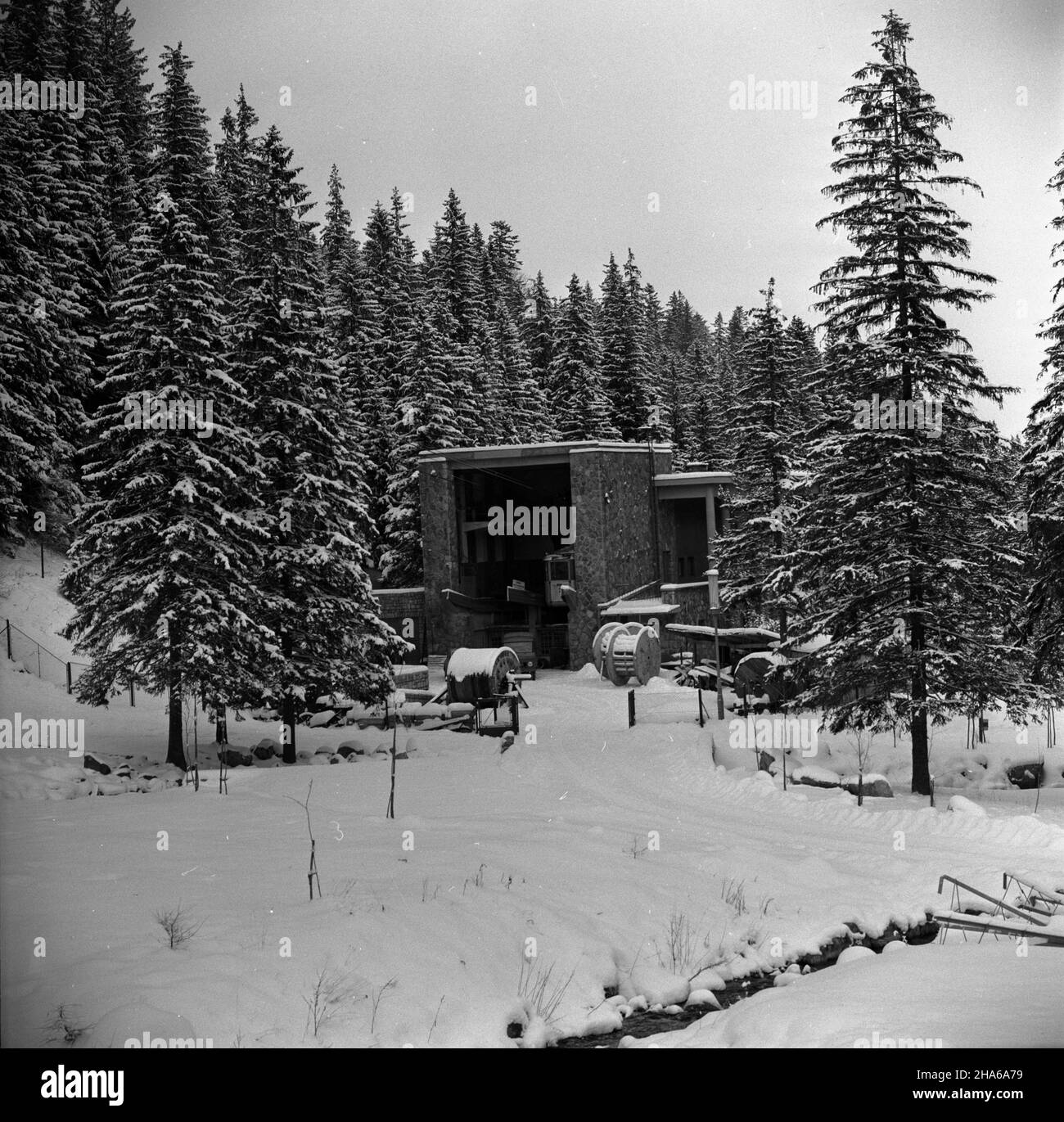 Zakopane, 1969-12-03. Przed zimowym sezonem narciarskim 1969/1970, przeprowadzono okresowy remont kolei linowej na Kasprowy Wierch. Dokonano wymiany liny noœnej na odcinku KuŸnice - Myœlenickie Turnie. mta PAP/Tadeusz Olszewski Zakopane, 3. Dezember 1969. Renovierte Seilbahn-Linie vor der Skisaison 1969/1970. Der Catenarian auf Kuznice - Myslenickie Turnie Route wurde geändert. mta PAP/Tadeusz Olszewski Stockfoto