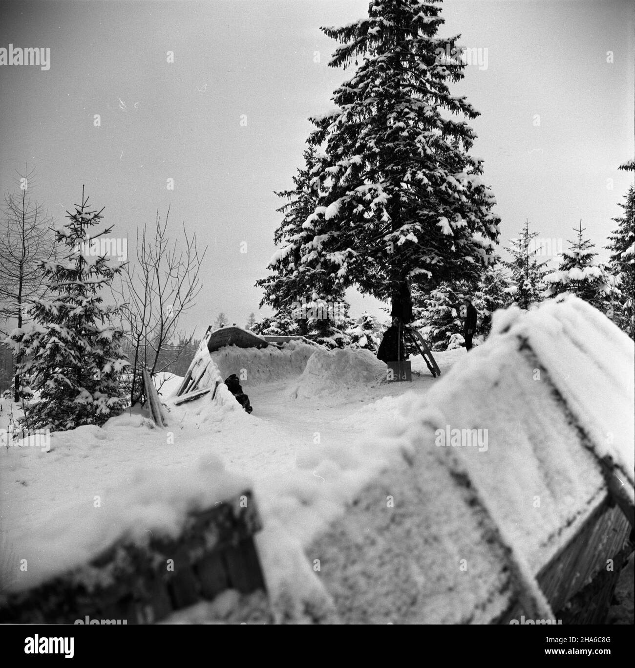 Zakopane, 1969-12-03. OD 2 XII 1969 r. kadra polskich saneczkarzy (seniorów i juniorów), pod kierunkiem Ryszarda Gurbowicza, trenowa³a na sztucznym torze, usypanym przez samych zawodników pod Krokwi¹. Nz. œlizg zawodnika na torze. pw PAP/Tadeusz Olszewski Zakopane, 3. Dezember 1969. Seit dem 2. Dezember 1969 führten die polnischen luger-Teams, sowohl Senior als auch Junior, unter der Leitung von Ryszard Gurbowicz Übungen auf der künstlichen Rodelbahn durch, die von den Wettbewerbern in der Nähe des Krokwia-Sprungs gemacht wurde. Im Bild: Ein luger während des Trainings. pw PAP/Tadeusz Olszewski Stockfoto