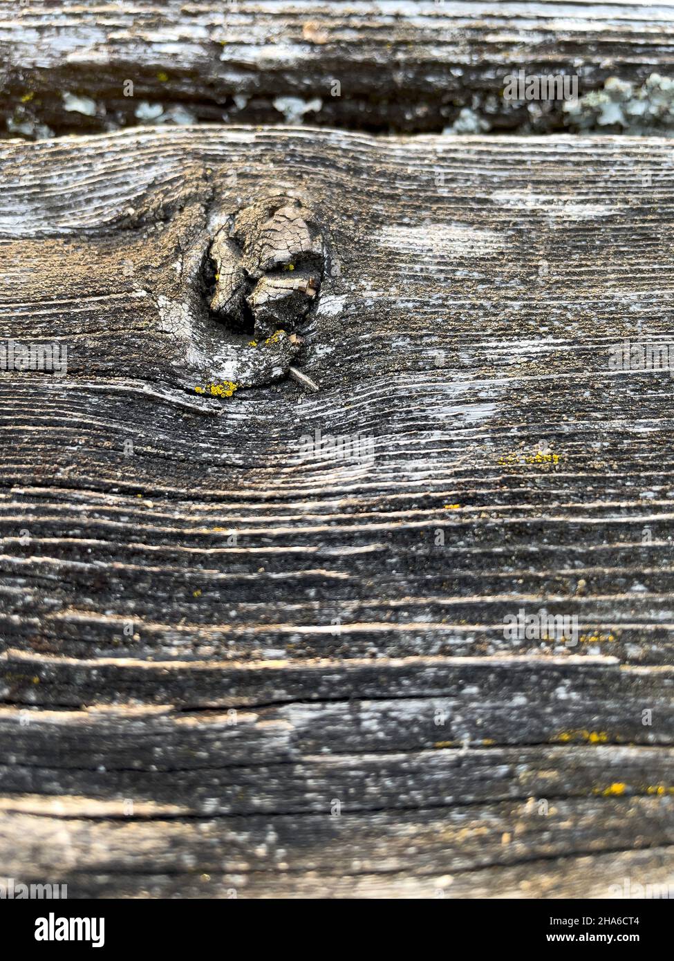 In der Nähe von Holz. Stockfoto