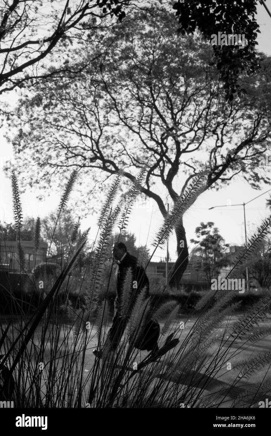 Straßenfotografie In Farbe Stockfoto