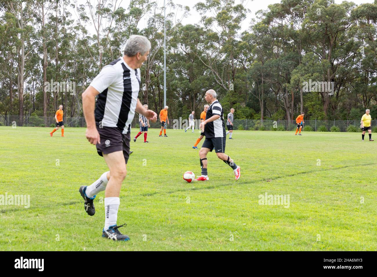 Sydney, Australien Herren Amateur Breitenfußball Fußballspiel für über 55-Jährige, gespielt auf dem Rasen in Sydney Stockfoto