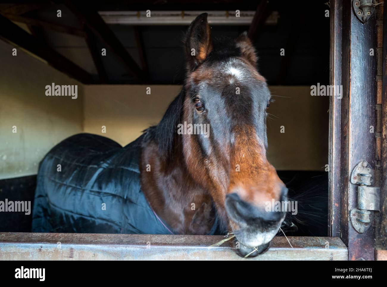 Felicity - letzter Tag Stockfoto