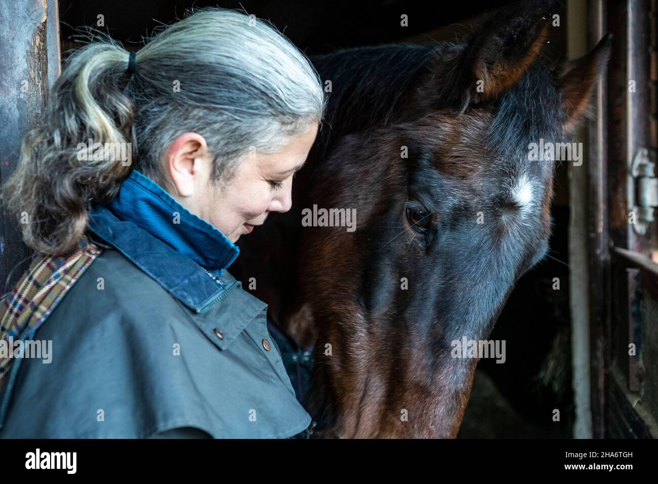 Eine reife Reiterin verbringt die letzten kostbaren Stunden, bevor ein Pferd aufgrund von schlechtem Gesundheitszustand und Alter abgesetzt wird. Stockfoto