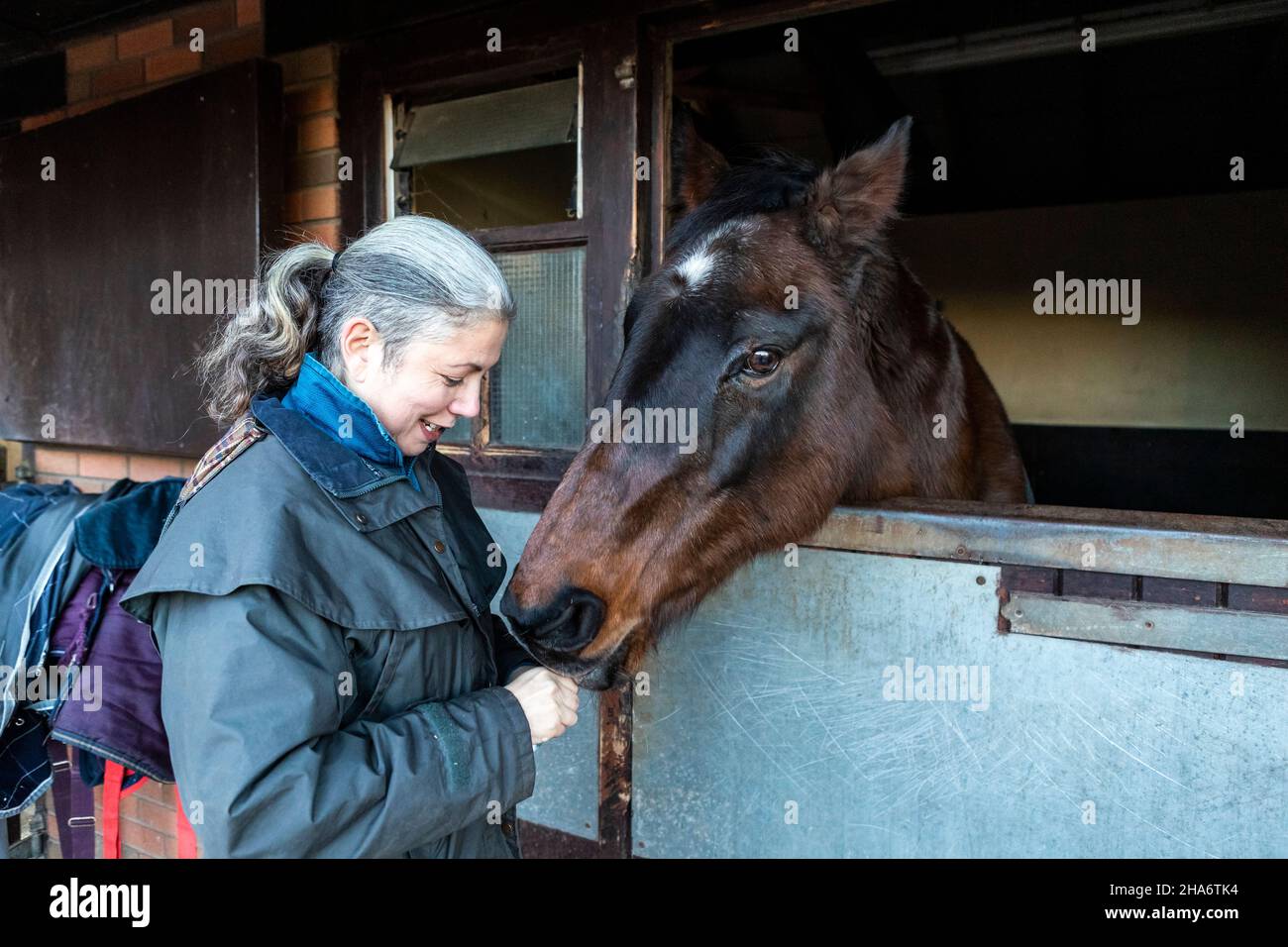 Eine reife Reiterin verbringt die letzten kostbaren Stunden, bevor ein Pferd aufgrund von schlechtem Gesundheitszustand und Alter abgesetzt wird. Stockfoto