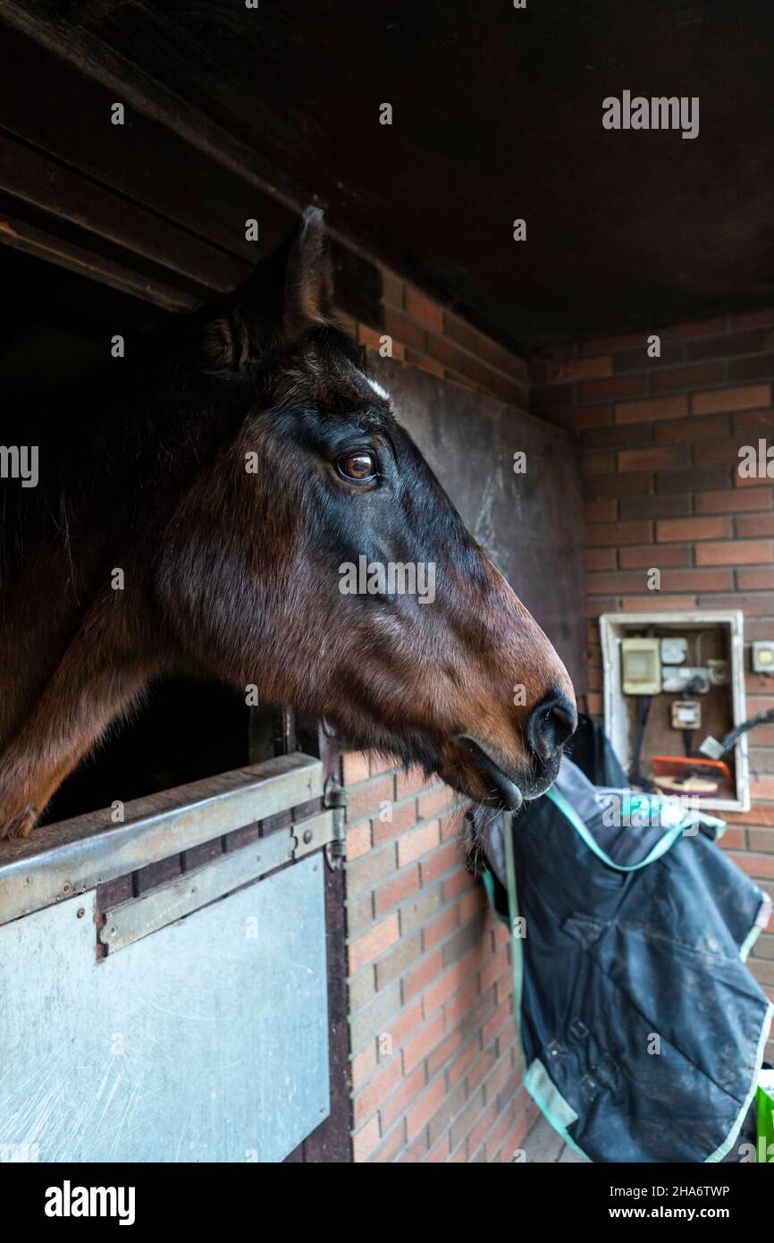 Felicity - letzter Tag Stockfoto
