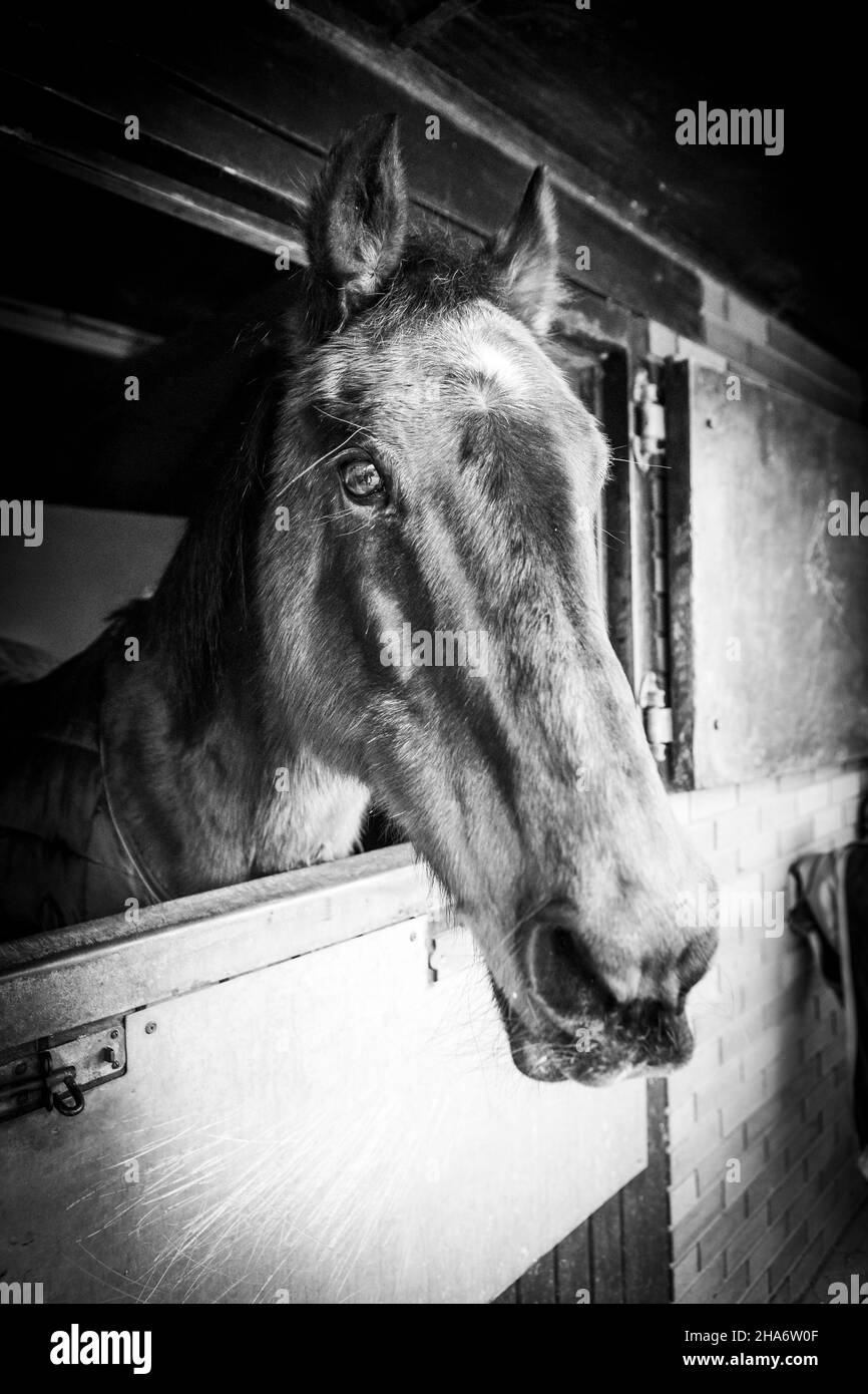 Felicity - letzter Tag Stockfoto