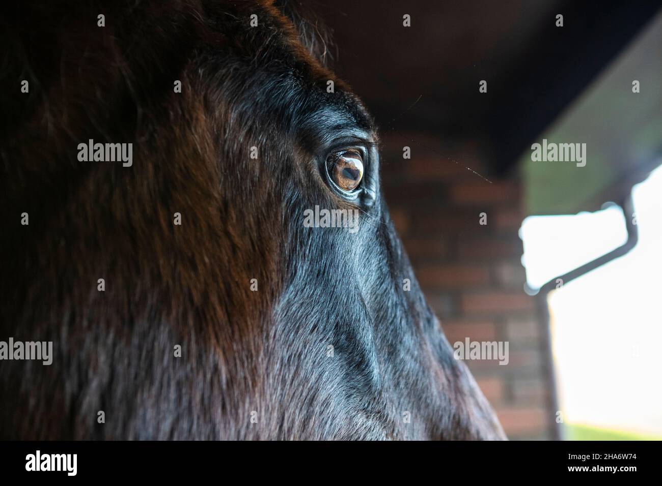 Felicity - letzter Tag Stockfoto