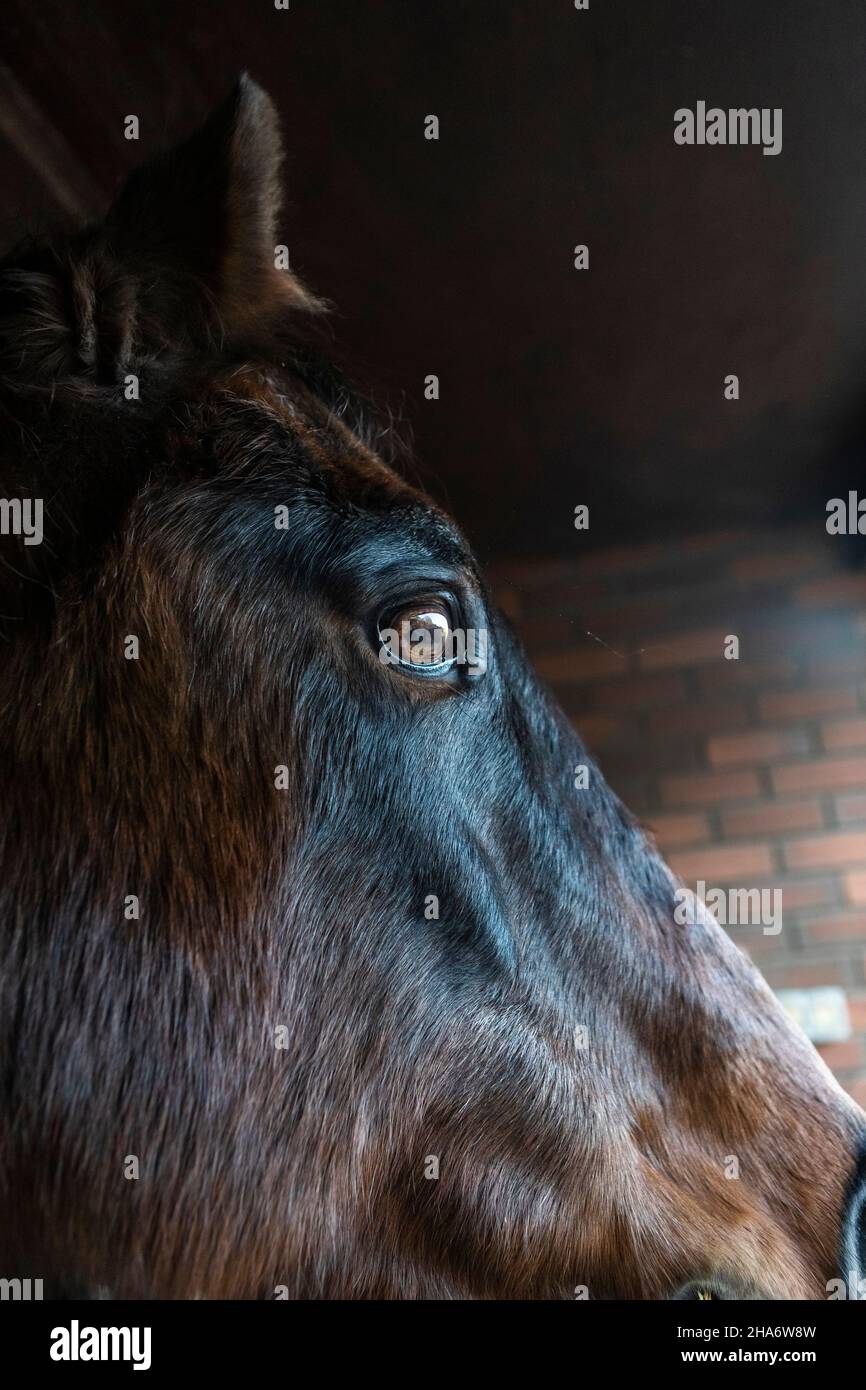 Felicity - letzter Tag Stockfoto