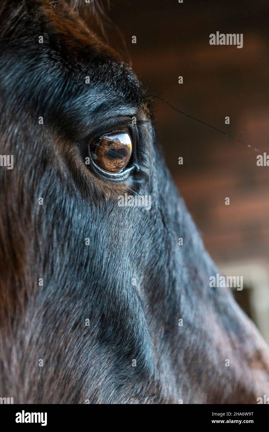 Felicity - letzter Tag Stockfoto